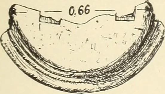 An illustration from Archaiologik ephmeris : ekdidomen hypo ts en Athnais Archaiologiks Hetairias, 1862, leaf 200