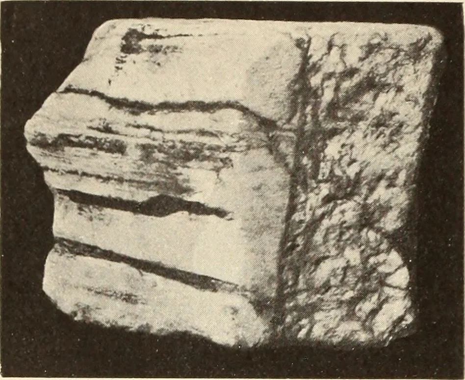 An illustration from Archaiologik ephmeris : ekdidomen hypo ts en Athnais Archaiologiks Hetairias, 1862, leaf 213