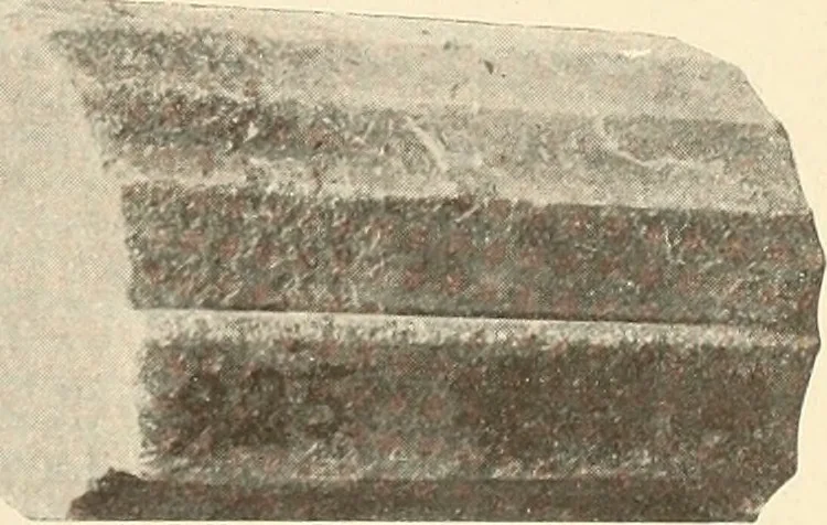 An illustration from Archaiologik ephmeris : ekdidomen hypo ts en Athnais Archaiologiks Hetairias, 1862, leaf 220