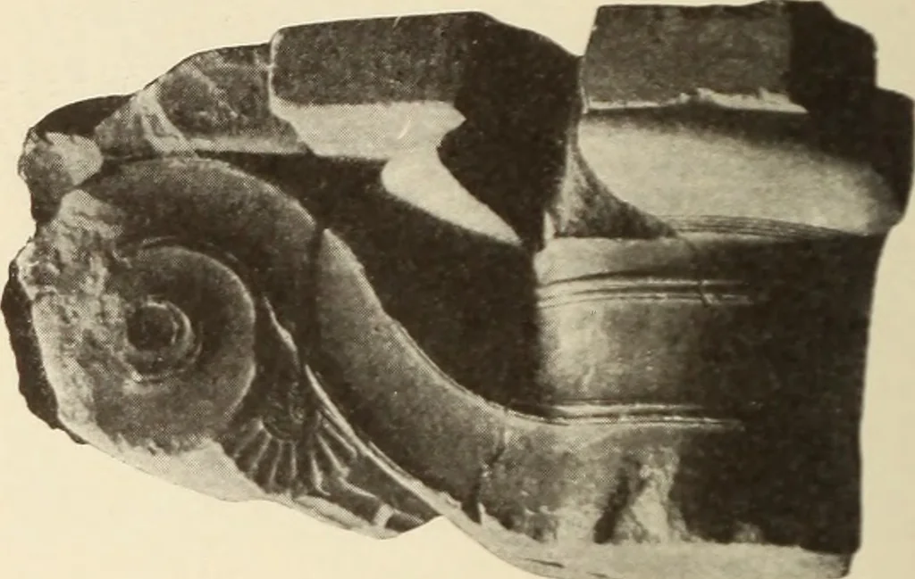 An illustration from Archaiologik ephmeris : ekdidomen hypo ts en Athnais Archaiologiks Hetairias, 1862, leaf 221