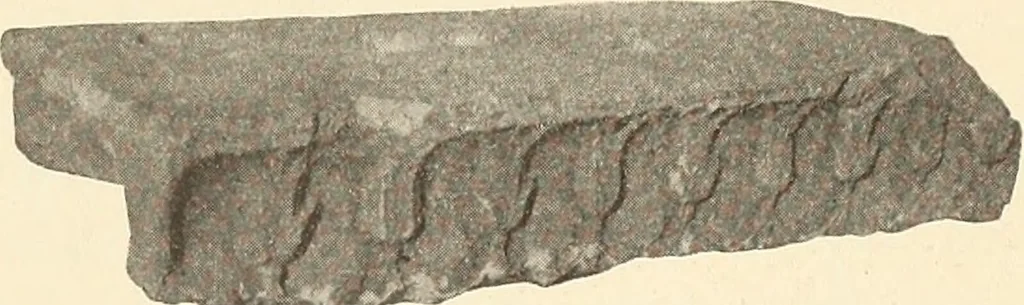 An illustration from Archaiologik ephmeris : ekdidomen hypo ts en Athnais Archaiologiks Hetairias, 1862, leaf 224