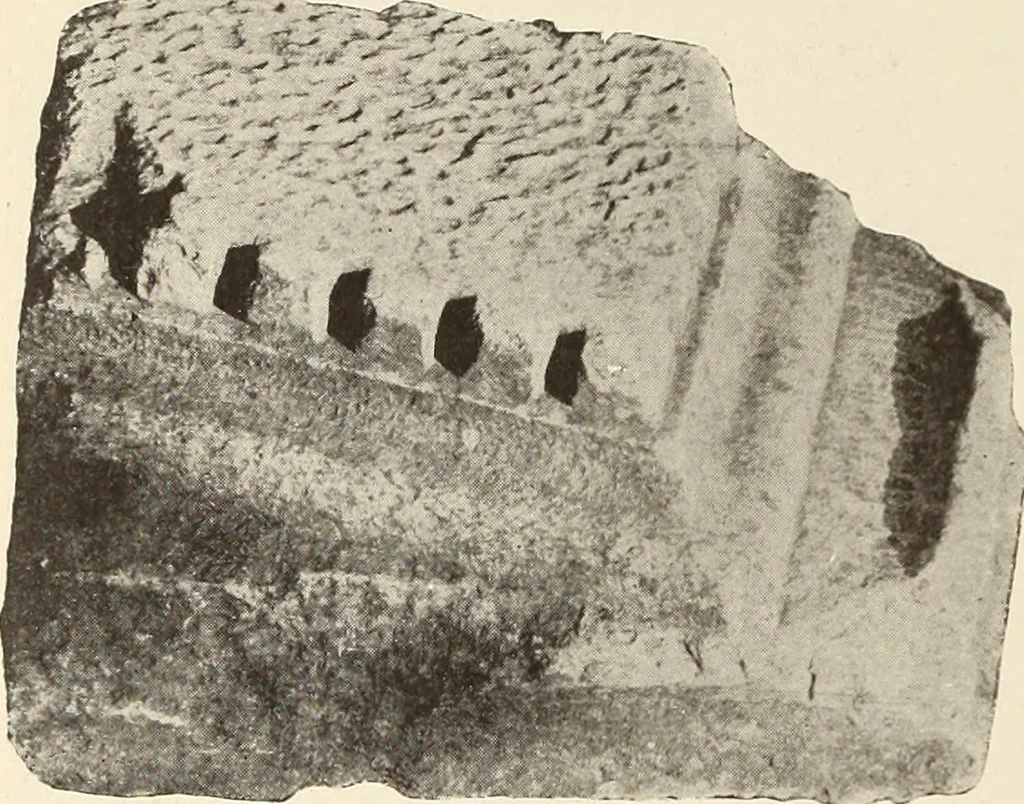 An illustration from Archaiologik ephmeris : ekdidomen hypo ts en Athnais Archaiologiks Hetairias, 1862, leaf 229
