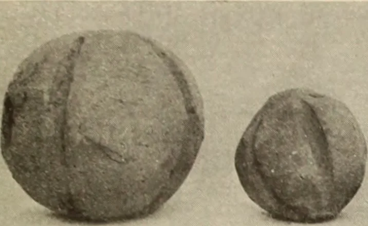 An illustration from Archaiologik ephmeris : ekdidomen hypo ts en Athnais Archaiologiks Hetairias, 1862, leaf 254
