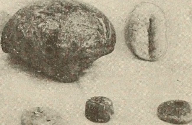 An illustration from Archaiologik ephmeris : ekdidomen hypo ts en Athnais Archaiologiks Hetairias, 1862, leaf 254