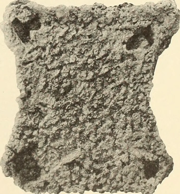 An illustration from Archaiologik ephmeris : ekdidomen hypo ts en Athnais Archaiologiks Hetairias, 1862, leaf 256