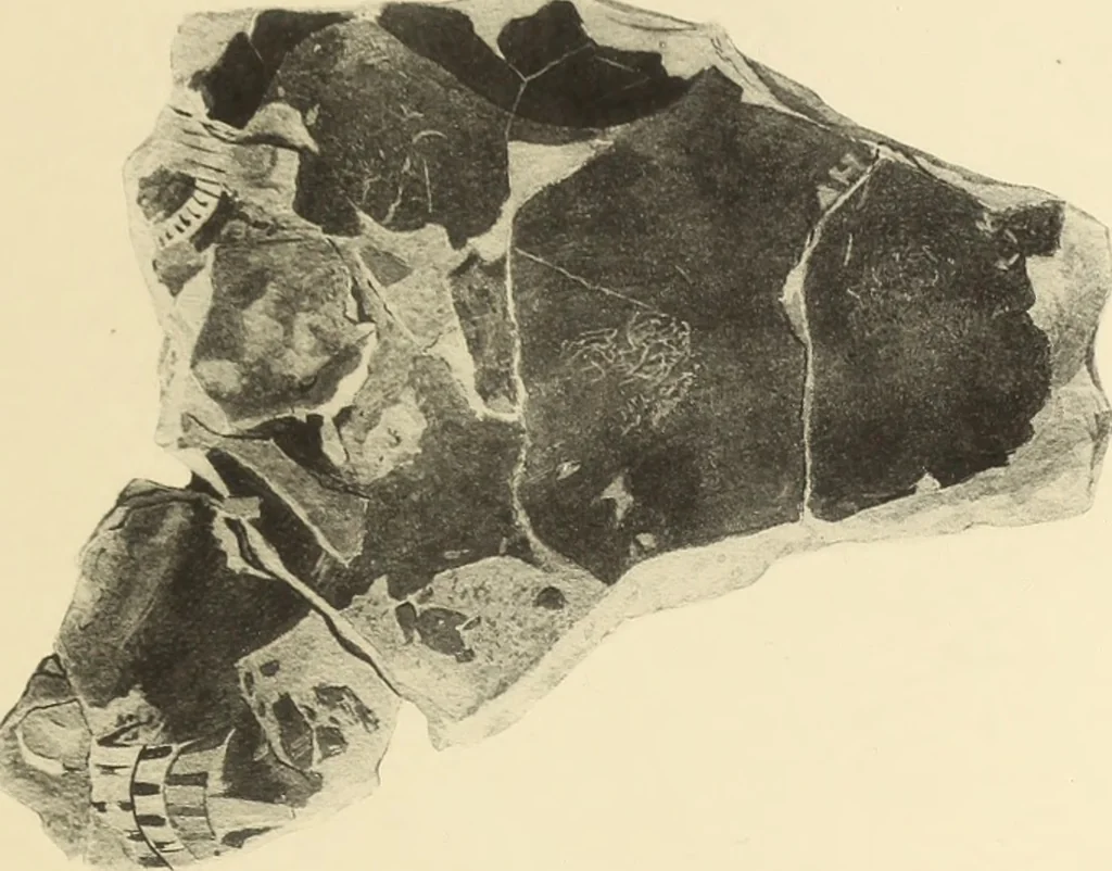 An illustration from Archaiologik ephmeris : ekdidomen hypo ts en Athnais Archaiologiks Hetairias, 1862, leaf 334