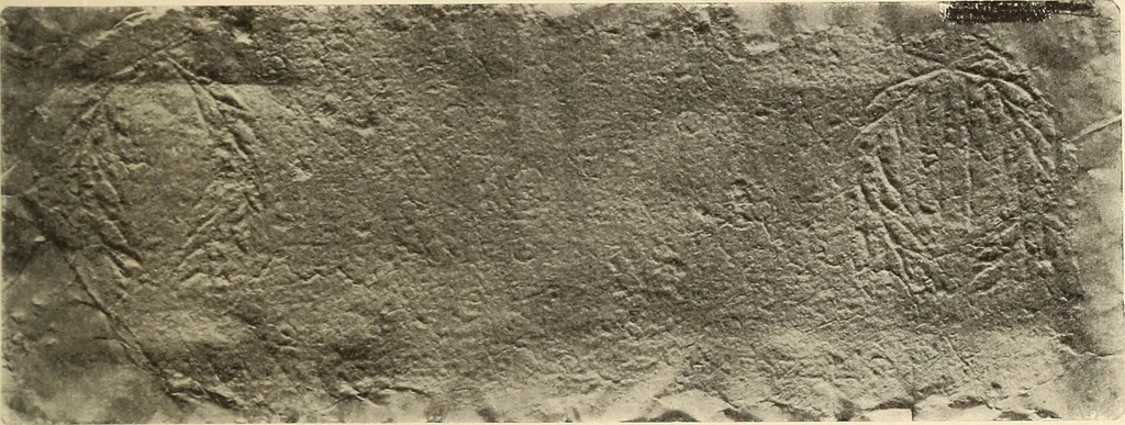 An illustration from Archaiologik ephmeris : ekdidomen hypo ts en Athnais Archaiologiks Hetairias, 1862, leaf 372