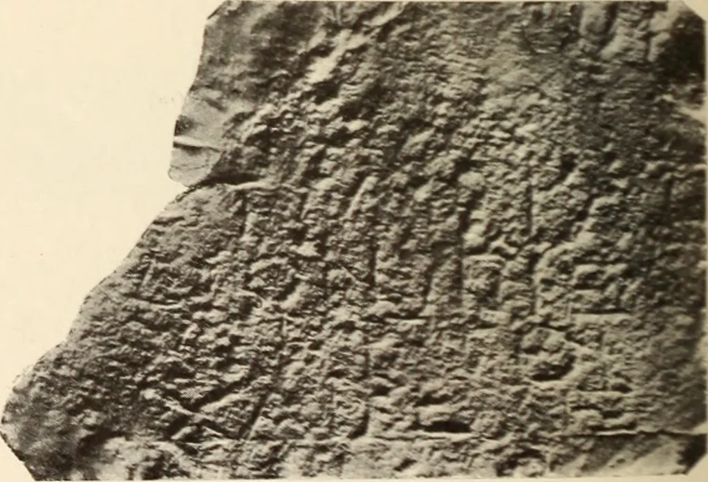 An illustration from Archaiologik ephmeris : ekdidomen hypo ts en Athnais Archaiologiks Hetairias, 1862, leaf 383