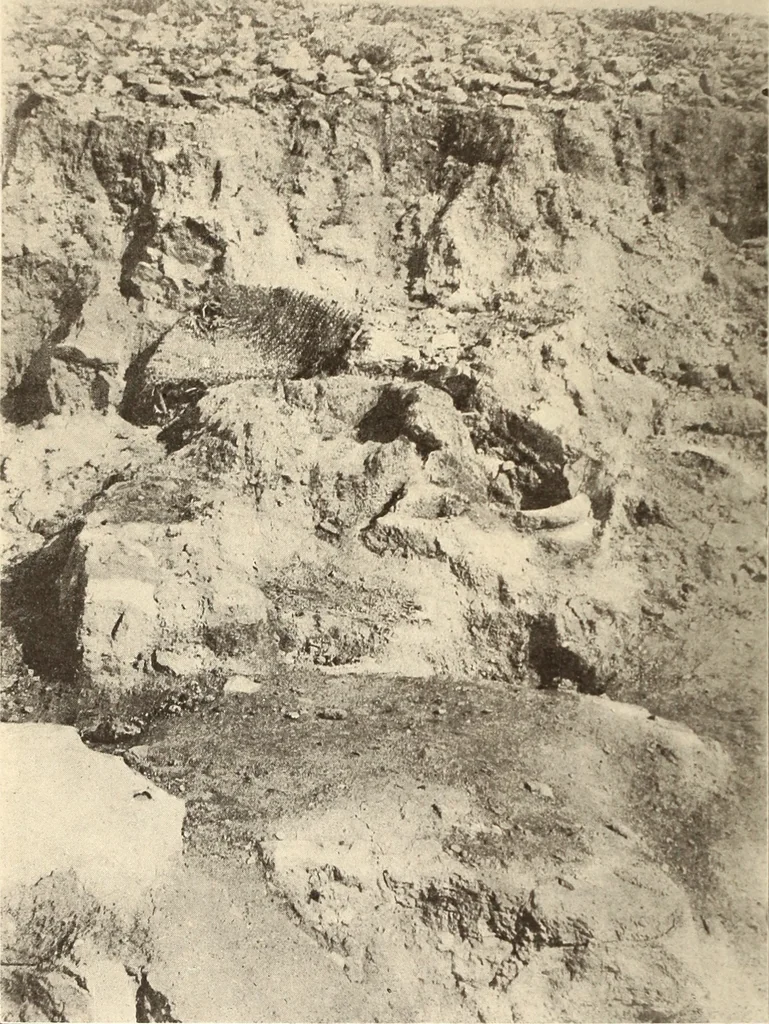 An illustration from Archaiologik ephmeris : ekdidomen hypo ts en Athnais Archaiologiks Hetairias, 1862, leaf 41