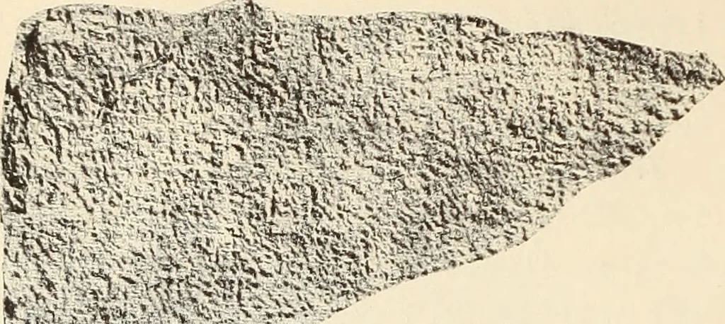An illustration from Archaiologik ephmeris : ekdidomen hypo ts en Athnais Archaiologiks Hetairias, 1862, leaf 411
