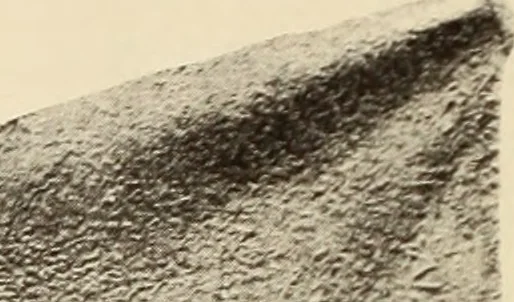 An illustration from Archaiologik ephmeris : ekdidomen hypo ts en Athnais Archaiologiks Hetairias, 1862, leaf 417