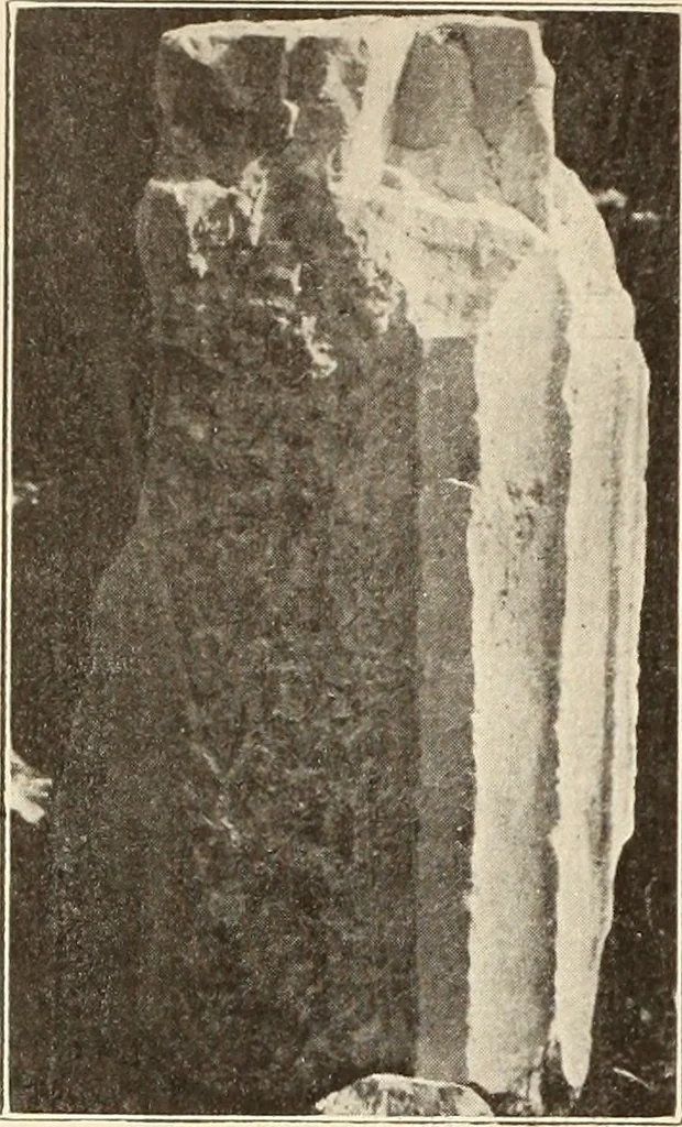 An illustration from Archaiologik ephmeris : ekdidomen hypo ts en Athnais Archaiologiks Hetairias, 1862, leaf 427