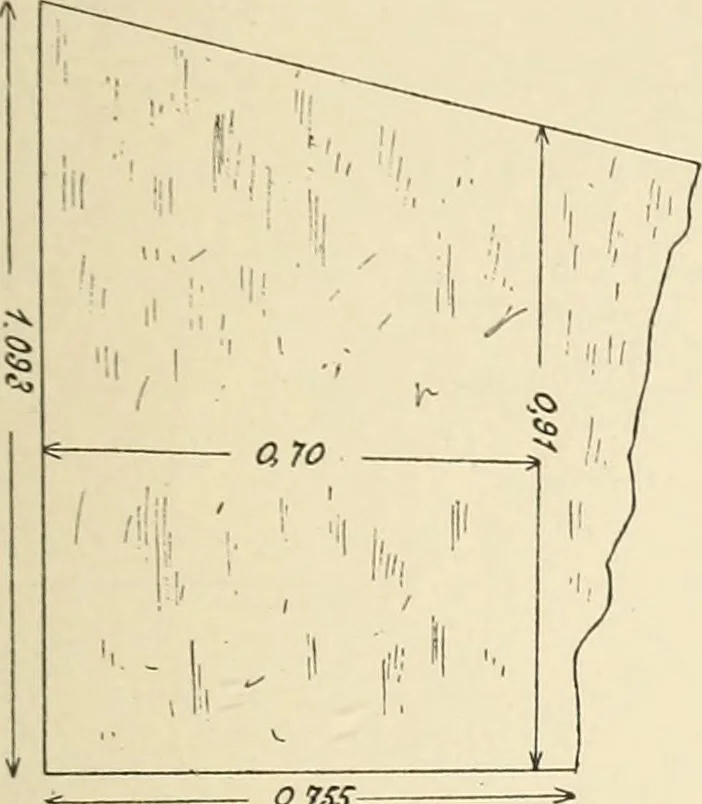An illustration from Archaiologik ephmeris : ekdidomen hypo ts en Athnais Archaiologiks Hetairias, 1862, leaf 450