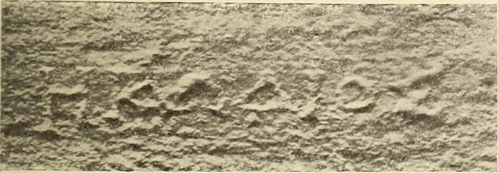 An illustration from Archaiologik ephmeris : ekdidomen hypo ts en Athnais Archaiologiks Hetairias, 1862, leaf 498