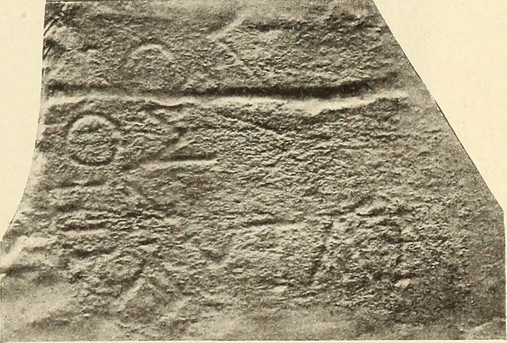 An illustration from Archaiologik ephmeris : ekdidomen hypo ts en Athnais Archaiologiks Hetairias, 1862, leaf 502