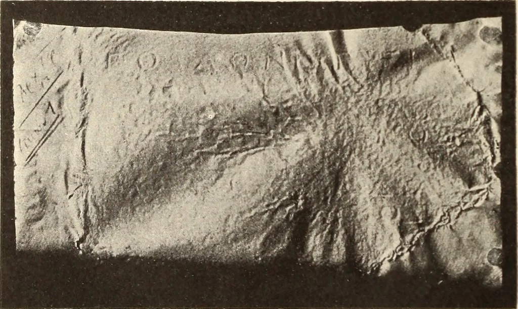 An illustration from Archaiologik ephmeris : ekdidomen hypo ts en Athnais Archaiologiks Hetairias, 1862, leaf 517