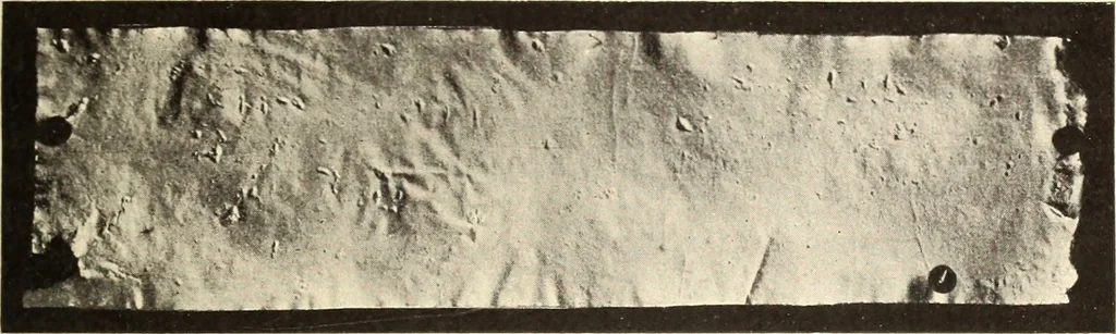 An illustration from Archaiologik ephmeris : ekdidomen hypo ts en Athnais Archaiologiks Hetairias, 1862, leaf 522