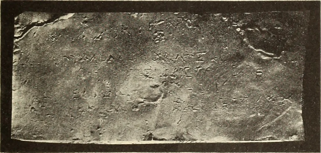 An illustration from Archaiologik ephmeris : ekdidomen hypo ts en Athnais Archaiologiks Hetairias, 1862, leaf 522