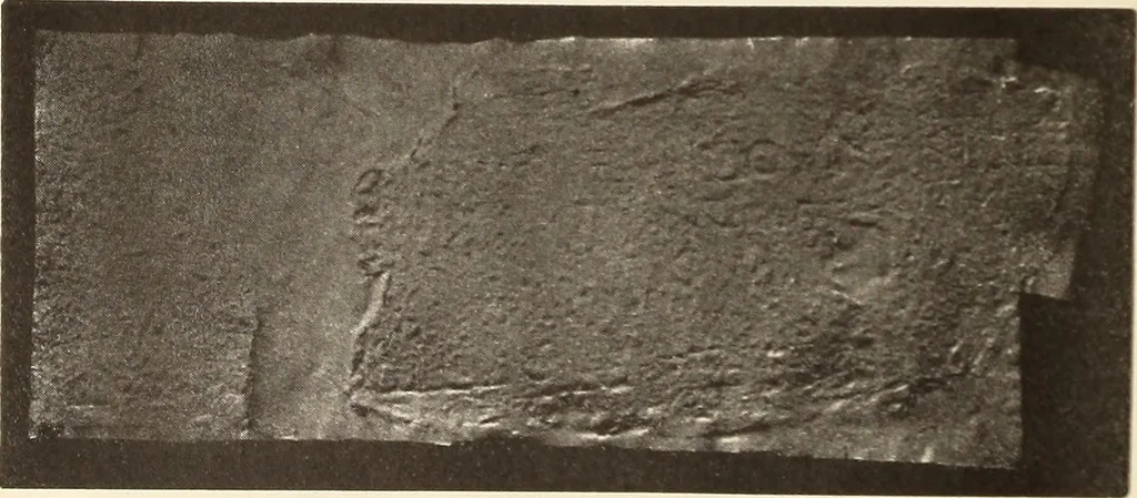 An illustration from Archaiologik ephmeris : ekdidomen hypo ts en Athnais Archaiologiks Hetairias, 1862, leaf 551