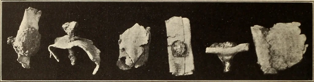 An illustration from Archaiologik ephmeris : ekdidomen hypo ts en Athnais Archaiologiks Hetairias, 1862, leaf 559