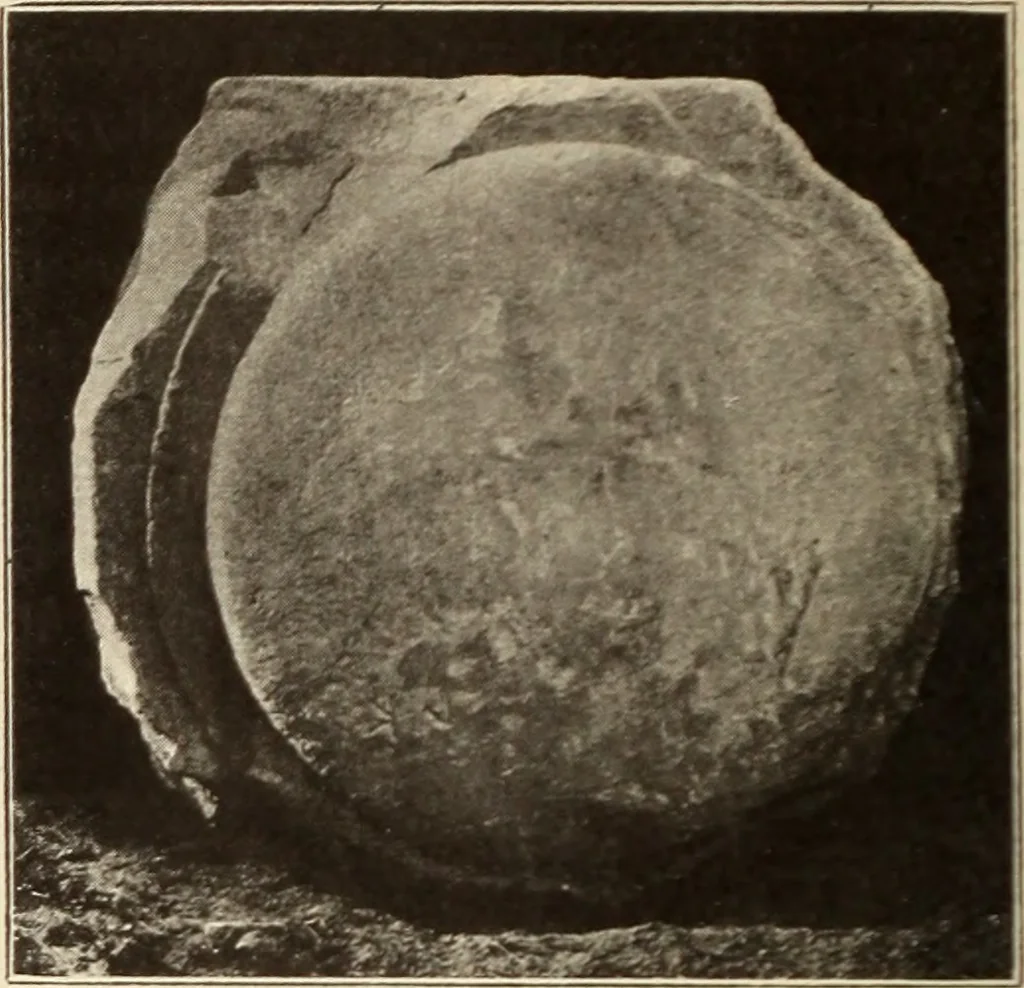 An illustration from Archaiologik ephmeris : ekdidomen hypo ts en Athnais Archaiologiks Hetairias, 1862, leaf 569