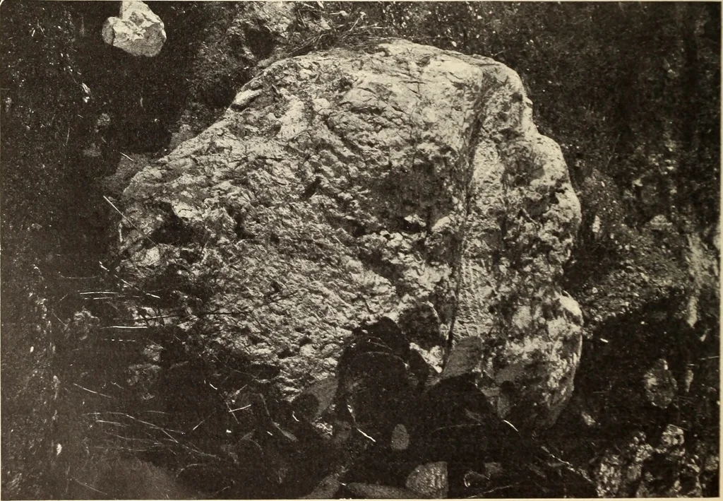 An illustration from Archaiologik ephmeris : ekdidomen hypo ts en Athnais Archaiologiks Hetairias, 1862, leaf 71