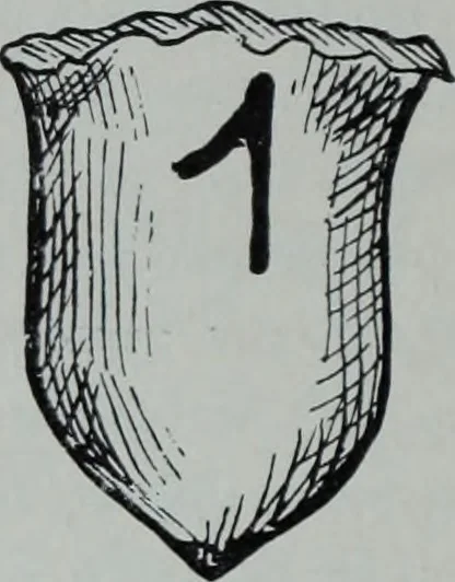 An illustration from Archaiologik ephmeris : ekdidomen hypo ts en Athnais Archaiologiks Hetairias, 1862, leaf 123