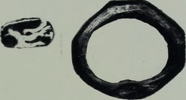 An illustration from Archaiologik ephmeris : ekdidomen hypo ts en Athnais Archaiologiks Hetairias, 1862, leaf 168