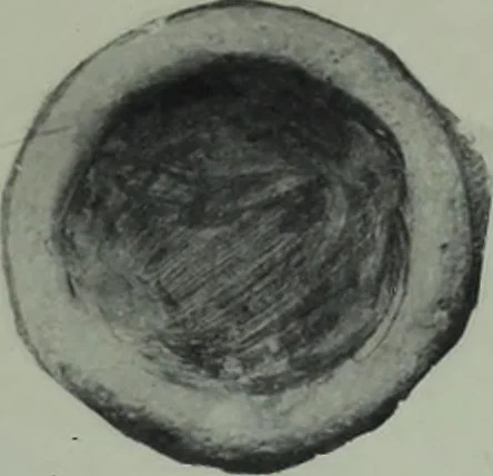 An illustration from Archaiologik ephmeris : ekdidomen hypo ts en Athnais Archaiologiks Hetairias, 1862, leaf 170