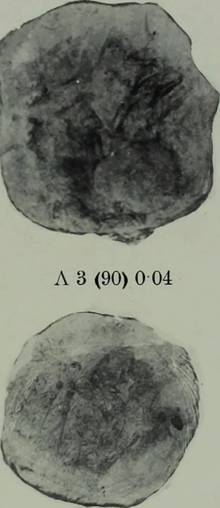 An illustration from Archaiologik ephmeris : ekdidomen hypo ts en Athnais Archaiologiks Hetairias, 1862, leaf 170