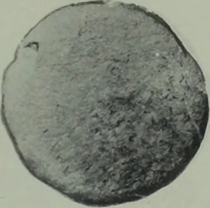 An illustration from Archaiologik ephmeris : ekdidomen hypo ts en Athnais Archaiologiks Hetairias, 1862, leaf 170