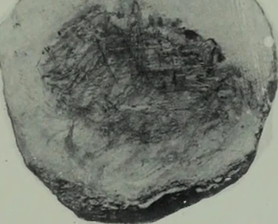 An illustration from Archaiologik ephmeris : ekdidomen hypo ts en Athnais Archaiologiks Hetairias, 1862, leaf 170