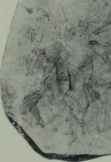 An illustration from Archaiologik ephmeris : ekdidomen hypo ts en Athnais Archaiologiks Hetairias, 1862, leaf 170