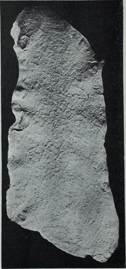 An illustration from Archaiologik ephmeris : ekdidomen hypo ts en Athnais Archaiologiks Hetairias, 1862, leaf 19