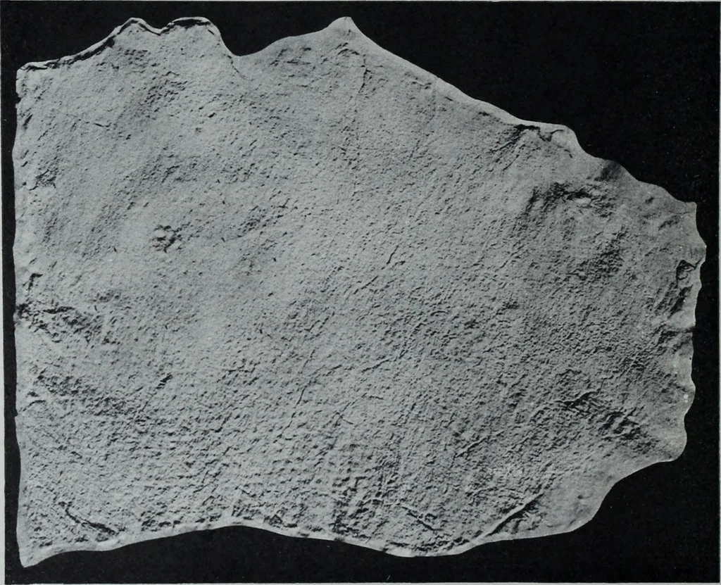 An illustration from Archaiologik ephmeris : ekdidomen hypo ts en Athnais Archaiologiks Hetairias, 1862, leaf 21