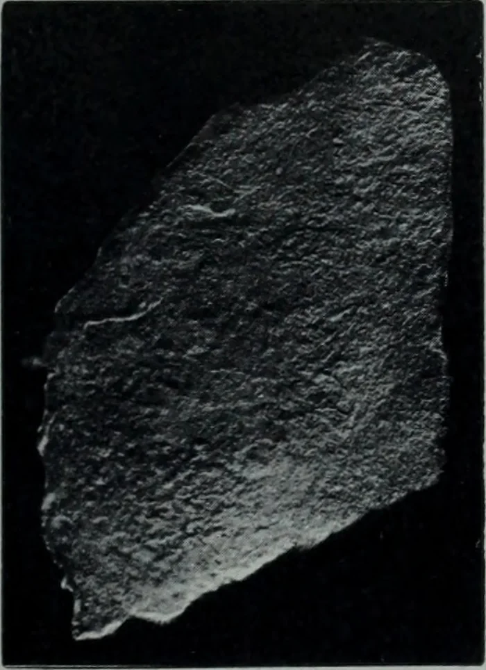 An illustration from Archaiologik ephmeris : ekdidomen hypo ts en Athnais Archaiologiks Hetairias, 1862, leaf 22