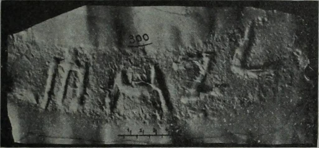 An illustration from Archaiologik ephmeris : ekdidomen hypo ts en Athnais Archaiologiks Hetairias, 1862, leaf 298