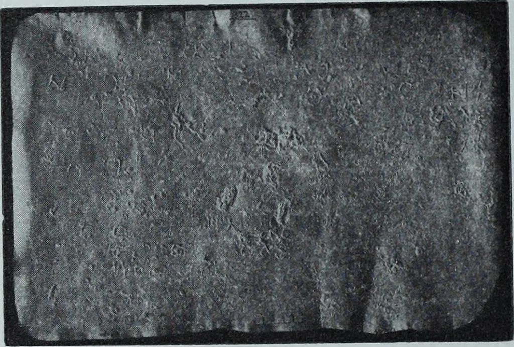 An illustration from Archaiologik ephmeris : ekdidomen hypo ts en Athnais Archaiologiks Hetairias, 1862, leaf 453