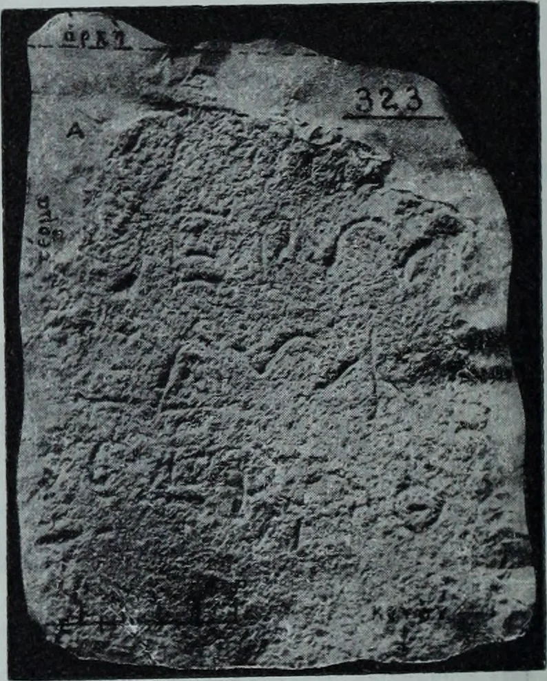 An illustration from Archaiologik ephmeris : ekdidomen hypo ts en Athnais Archaiologiks Hetairias, 1862, leaf 453