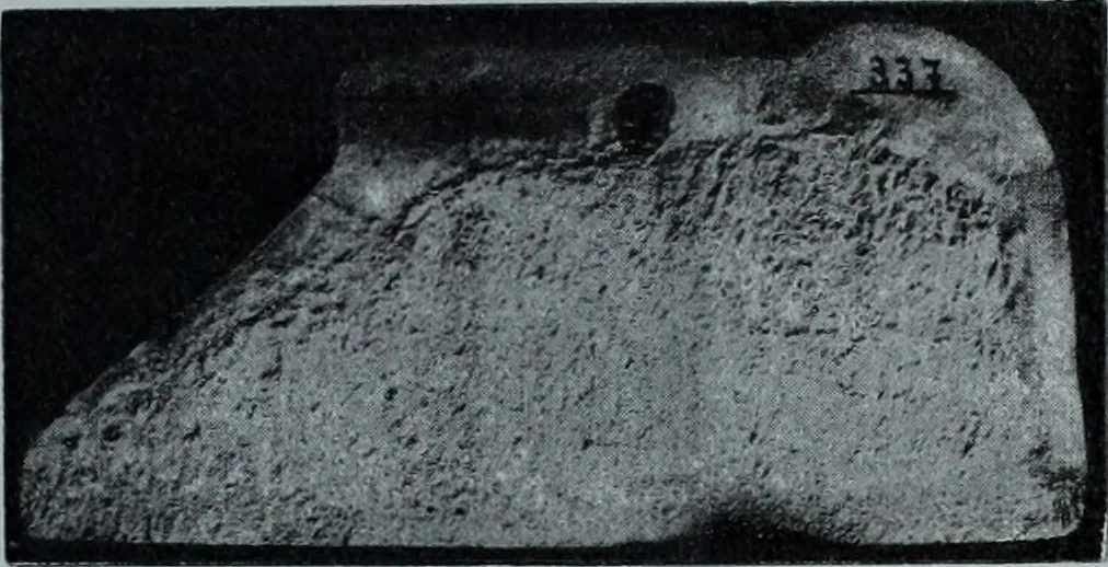 An illustration from Archaiologik ephmeris : ekdidomen hypo ts en Athnais Archaiologiks Hetairias, 1862, leaf 464