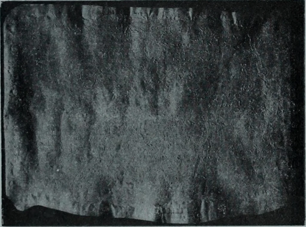 An illustration from Archaiologik ephmeris : ekdidomen hypo ts en Athnais Archaiologiks Hetairias, 1862, leaf 466