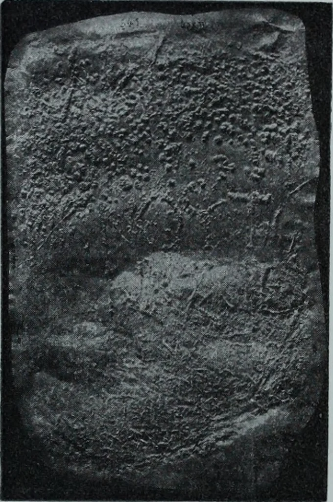 An illustration from Archaiologik ephmeris : ekdidomen hypo ts en Athnais Archaiologiks Hetairias, 1862, leaf 468