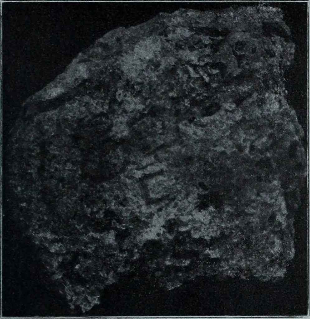 An illustration from Archaiologik ephmeris : ekdidomen hypo ts en Athnais Archaiologiks Hetairias, 1862, leaf 502