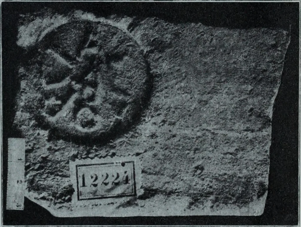 An illustration from Archaiologik ephmeris : ekdidomen hypo ts en Athnais Archaiologiks Hetairias, 1862, leaf 502