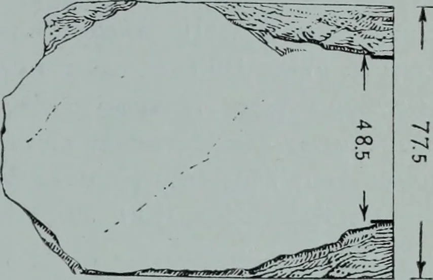 An illustration from Archaiologik ephmeris : ekdidomen hypo ts en Athnais Archaiologiks Hetairias, 1862, leaf 558