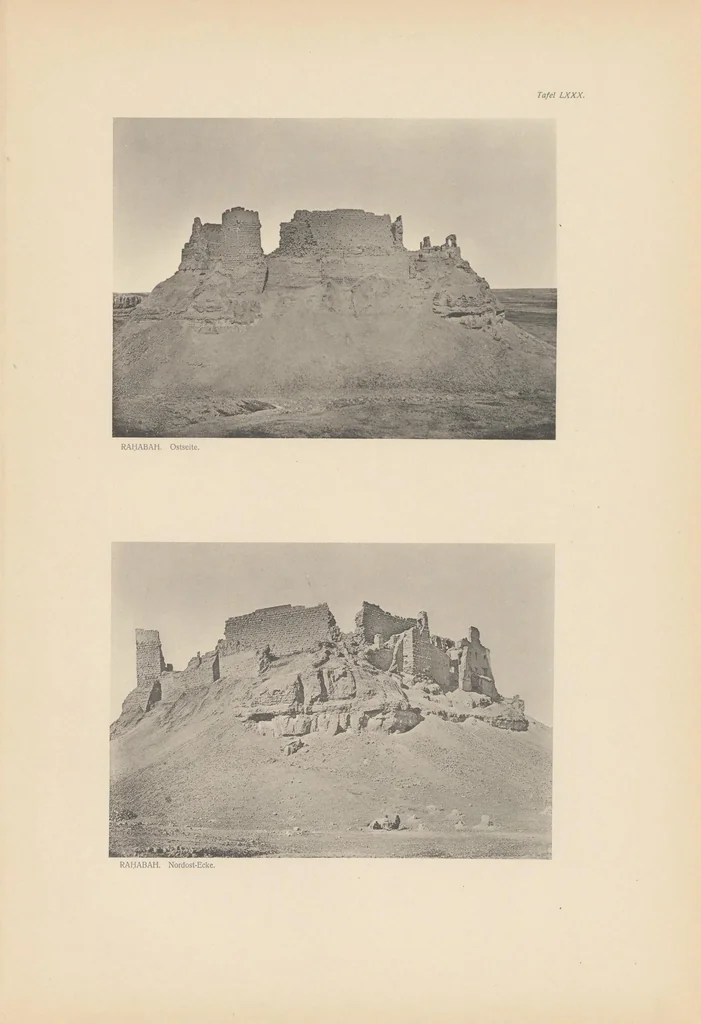 An illustration from Archäologische Reise im Euphrat- und Tigris-gebiet, 1911, leaf 175