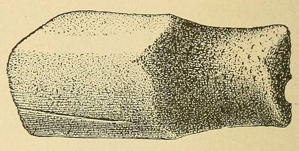 An illustration from Archeological investigations on Manhattan island, New York city, 1920, leaf 110