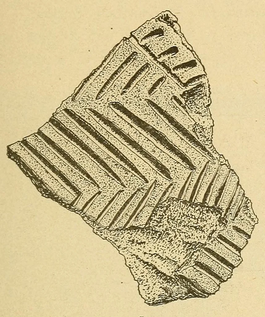 An illustration from Archeological investigations on Manhattan island, New York city, 1920, leaf 127