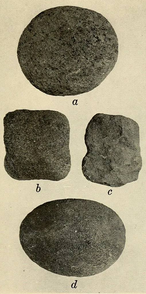 An illustration from Archeological investigations on Manhattan island, New York city, 1920, leaf 99