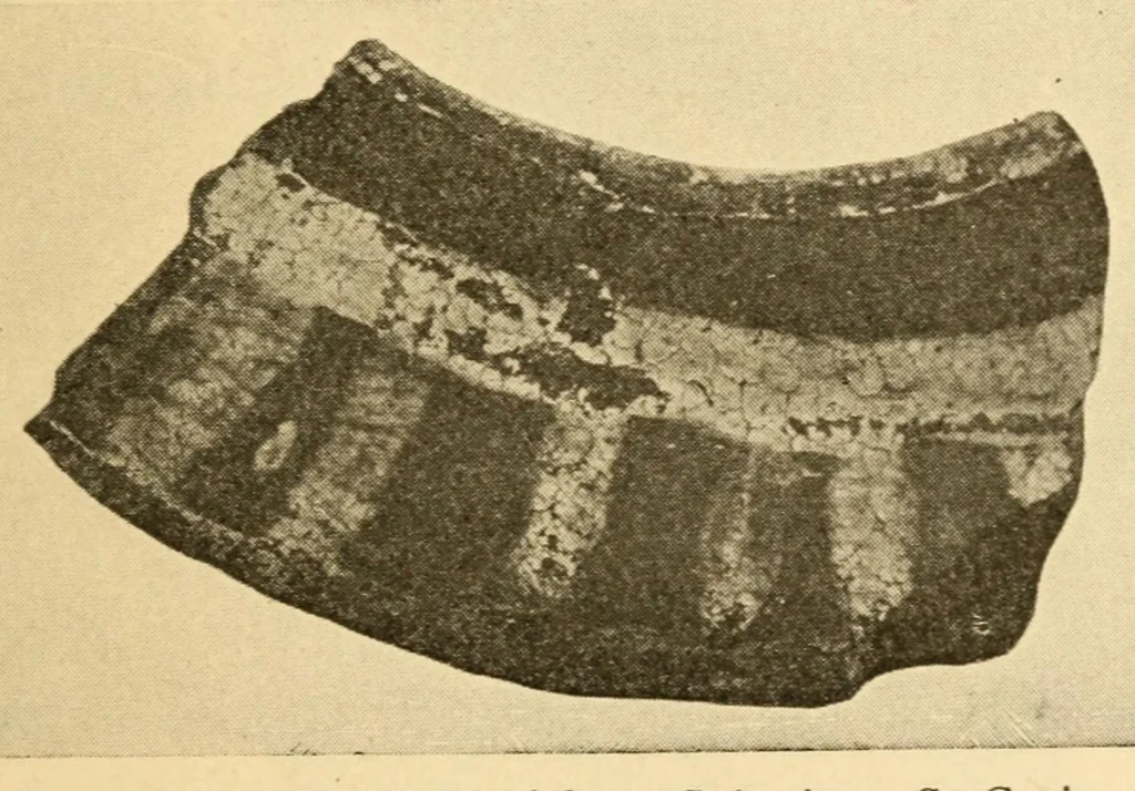 An illustration from Archeology of the Virgin islands, 1919, leaf 101